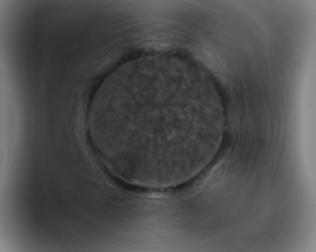 X0000094381297200711162122