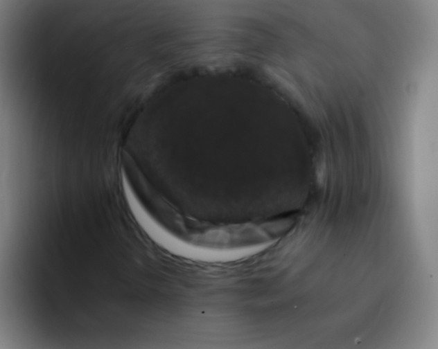 X0000094381298200711162122