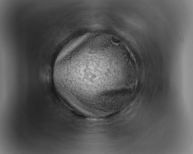 X0000094381301200711162122