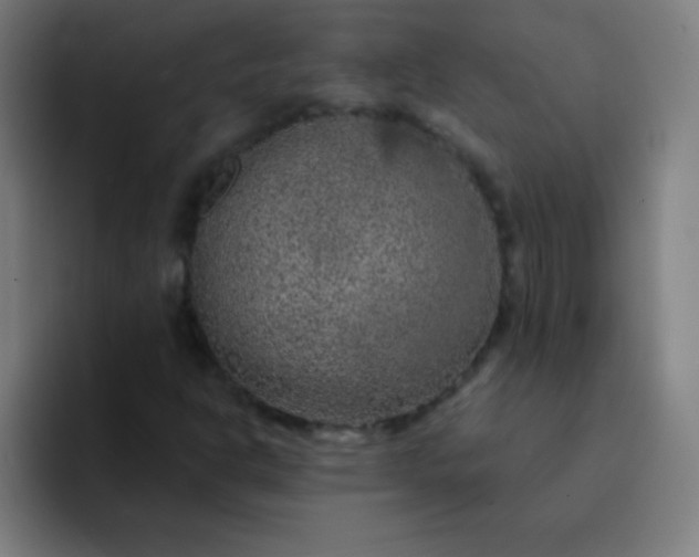 X0000094381302200711162122
