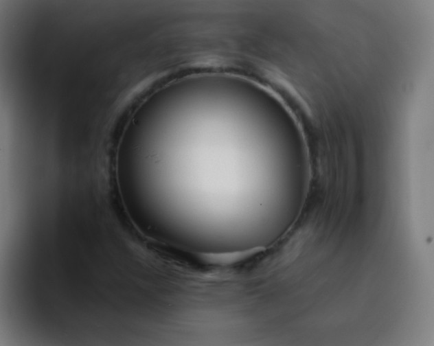 X0000094381304200711162122