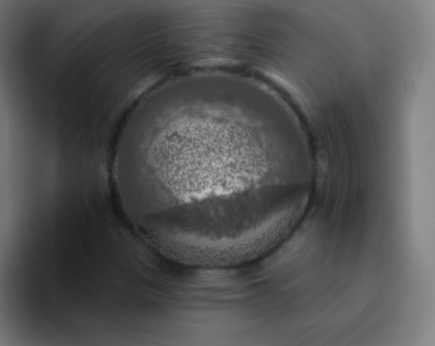 X0000094381305200711162122