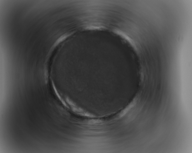 X0000094381306200711162122