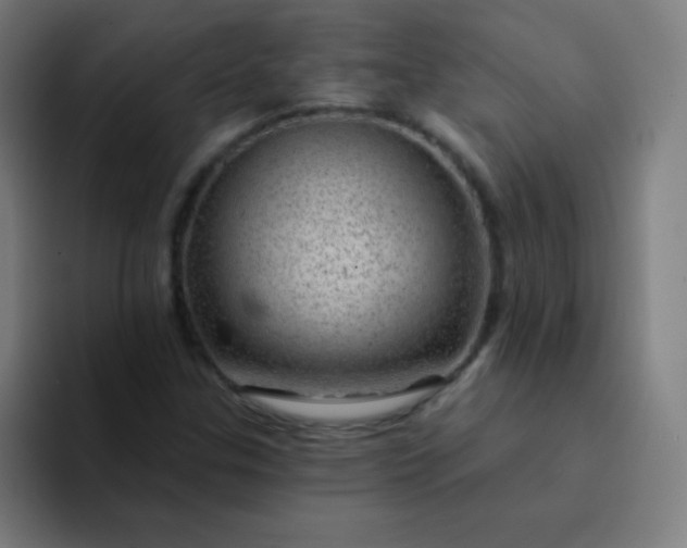 X0000094381307200711162122