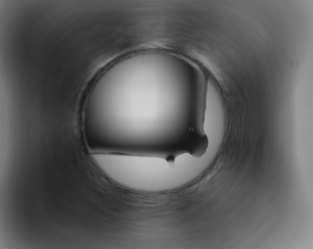 X0000094381308200711162122