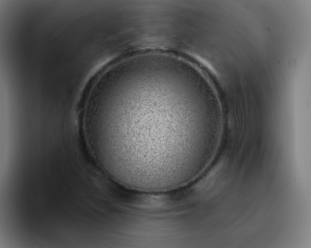 X0000094381309200711162122