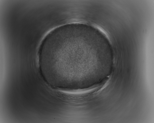 X0000094381310200711162122