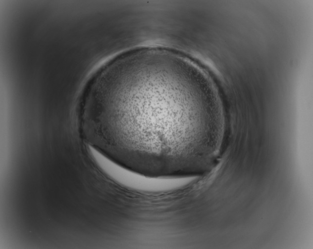 X0000094381311200711162123
