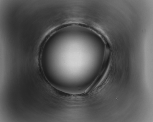 X0000094381312200711162123