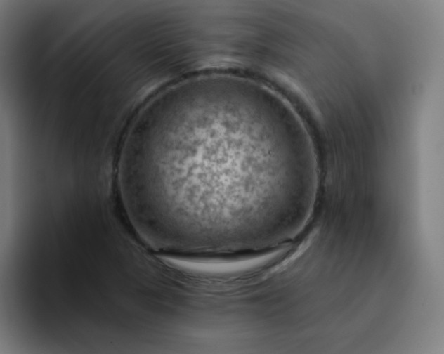 X0000094381313200711162123