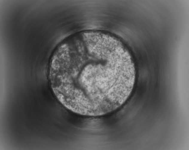 X0000094381314200711162123