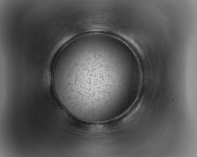 X0000094381317200711162123