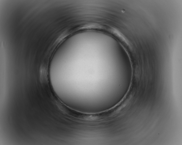 X0000094381321200711162123