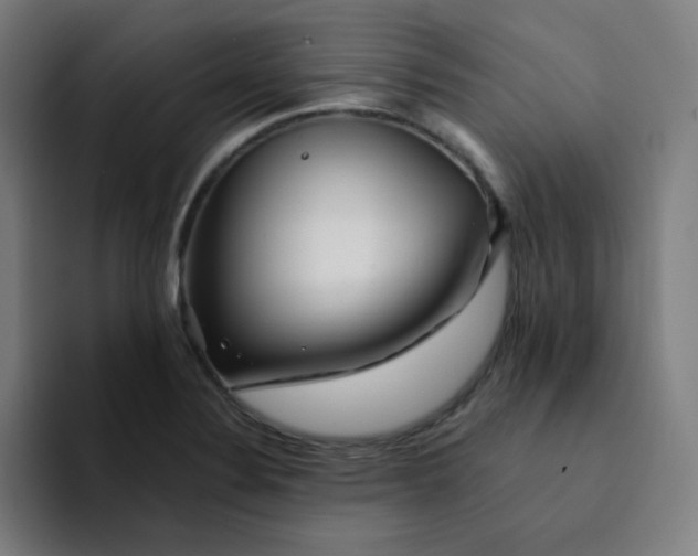 X0000094381324200711162123
