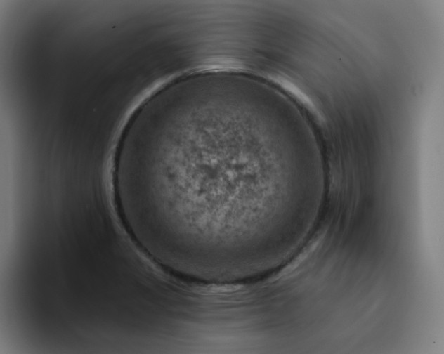 X0000094381325200711162123