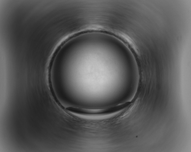 X0000094381326200711162123