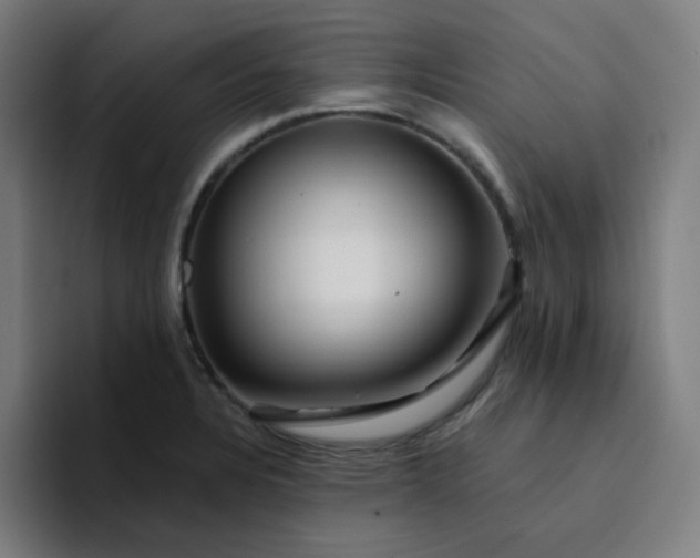 X0000094381328200711162123