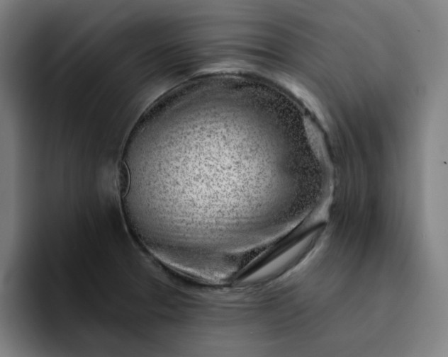 X0000094381329200711162123