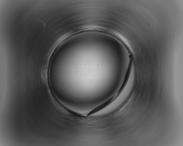 X0000094381330200711162123
