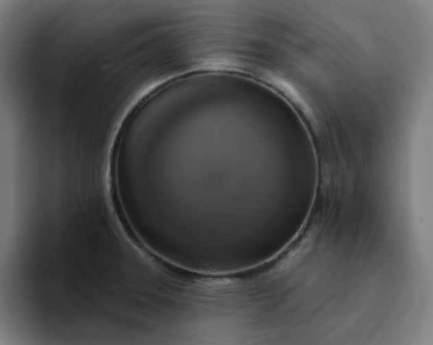 X0000094381331200711162123