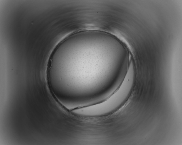 X0000094381333200711162123