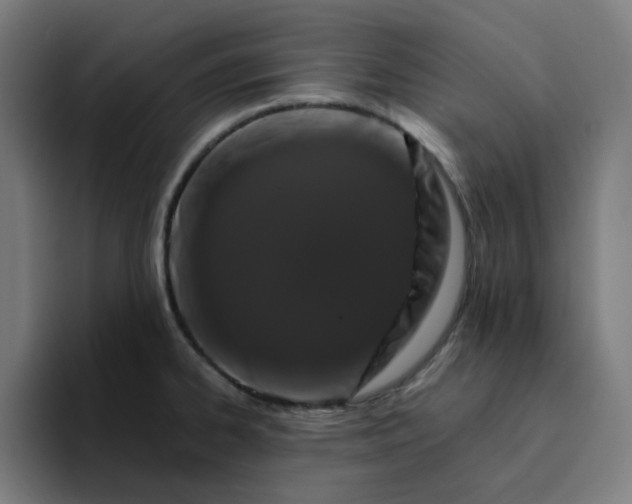 X0000094381334200711162123