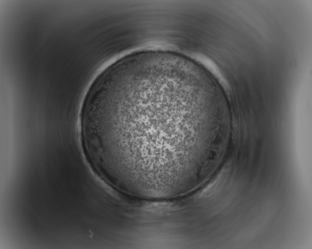 X0000094381335200711162123