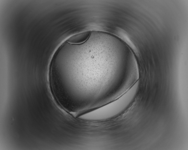 X0000094381339200711162123