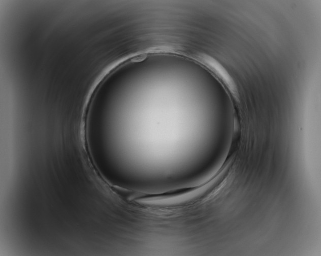 X0000094381340200711162123