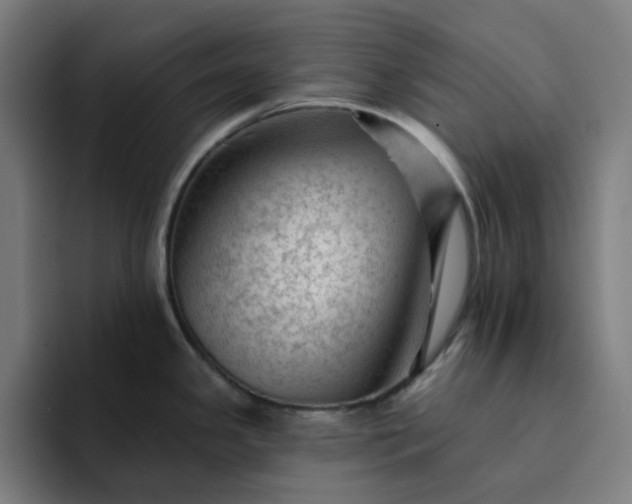 X0000094381341200711162123