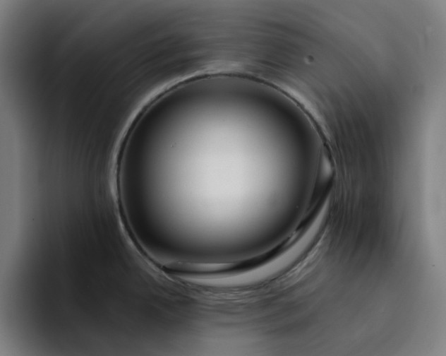 X0000094381342200711162123
