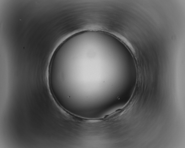 X0000094381343200711162123