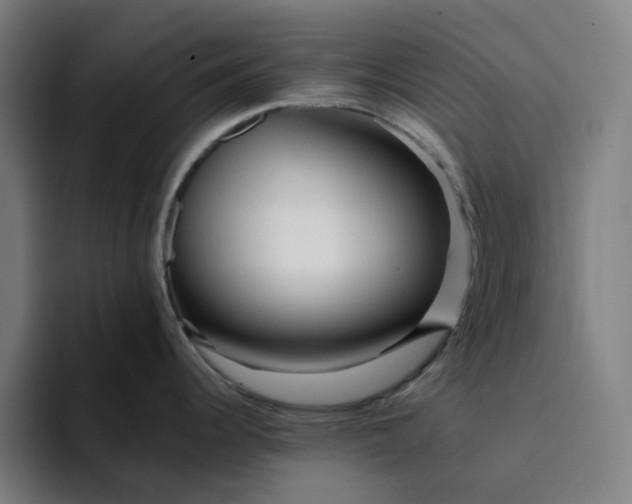 X0000094381344200711162123