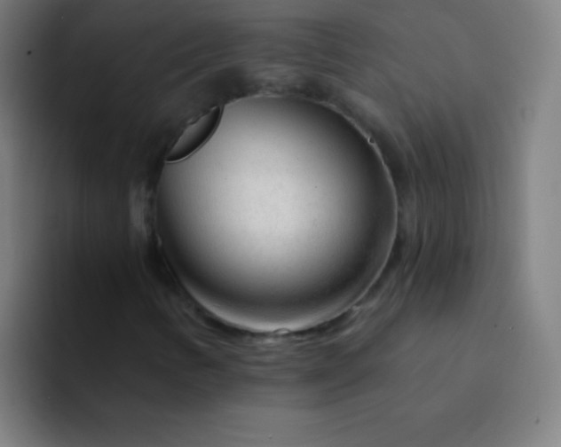 X0000094381346200711162122