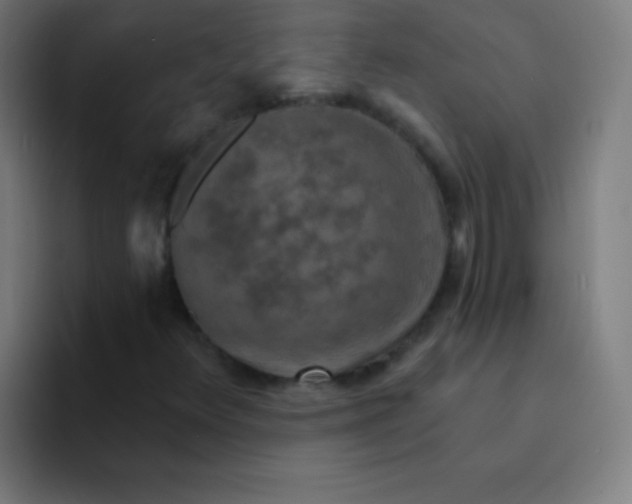 X0000094381348200711162122