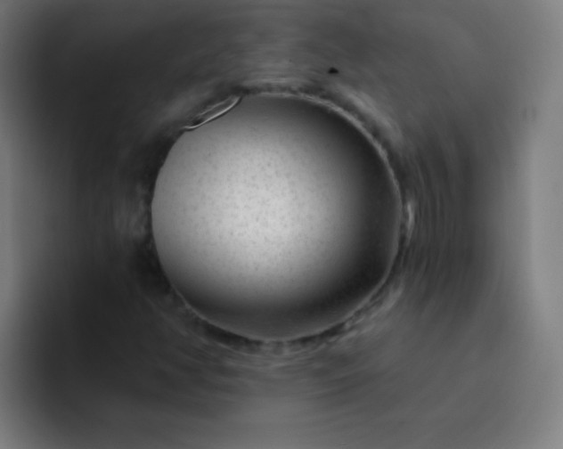 X0000094381350200711162122