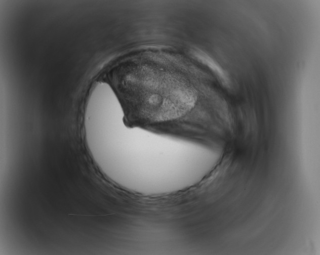 X0000094381352200711162122