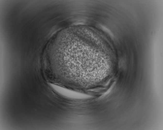 X0000094381353200711162122