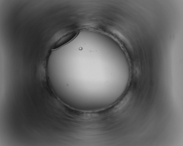 X0000094381354200711162122