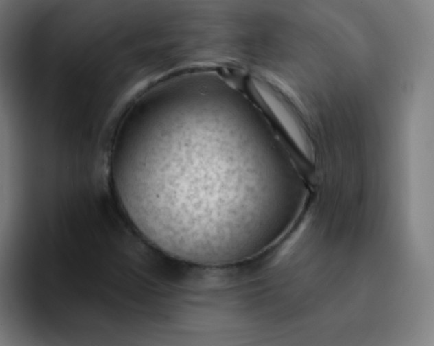 X0000094381355200711162122