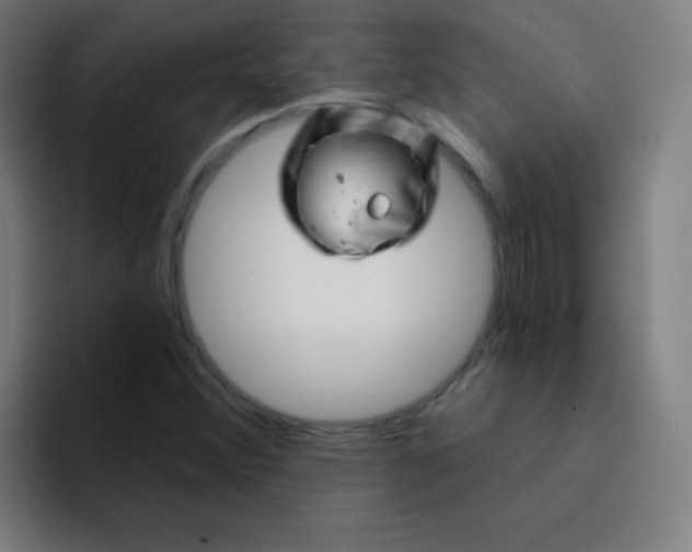 X0000094381356200711162122