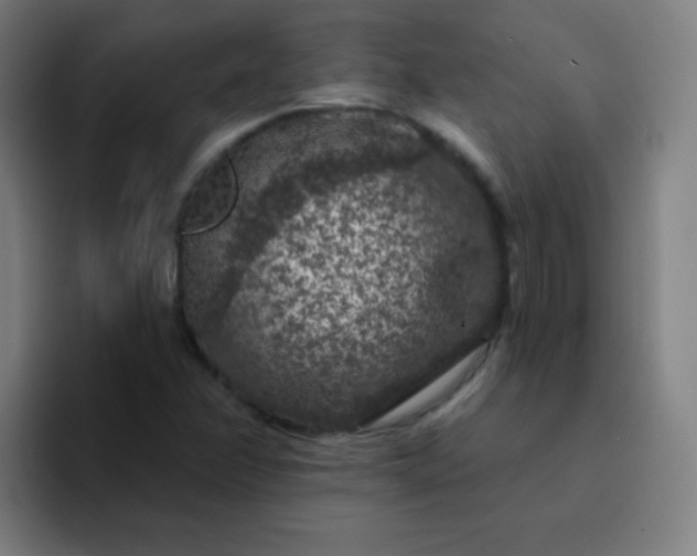 X0000094381358200711162122