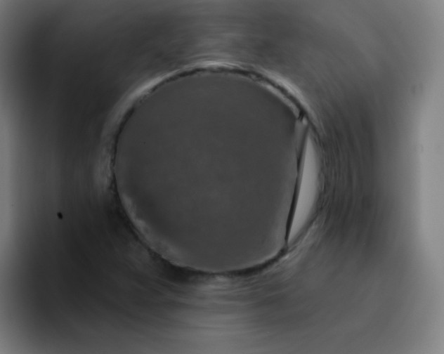 X0000094381359200711162122