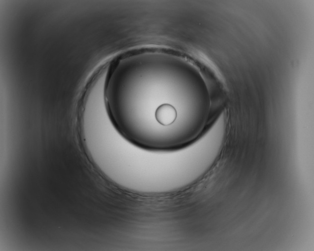 X0000094381360200711162122
