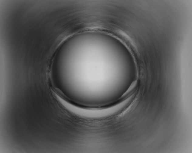 X0000094381361200711162122