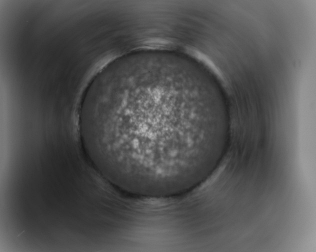 X0000094381362200711162122