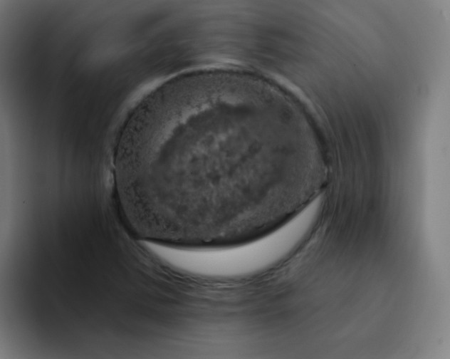 X0000094381363200711162122
