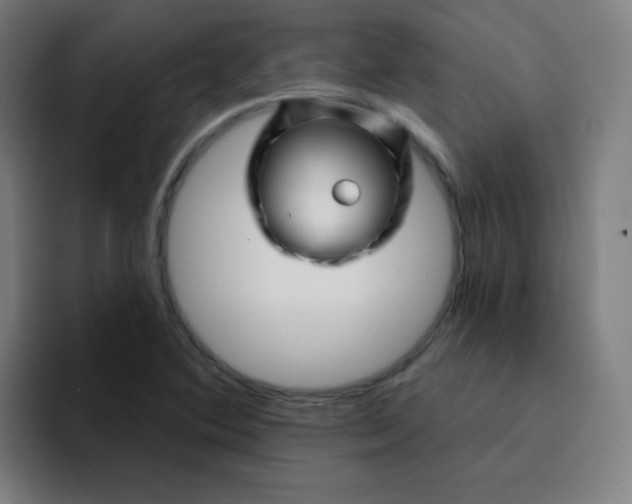 X0000094381364200711162122