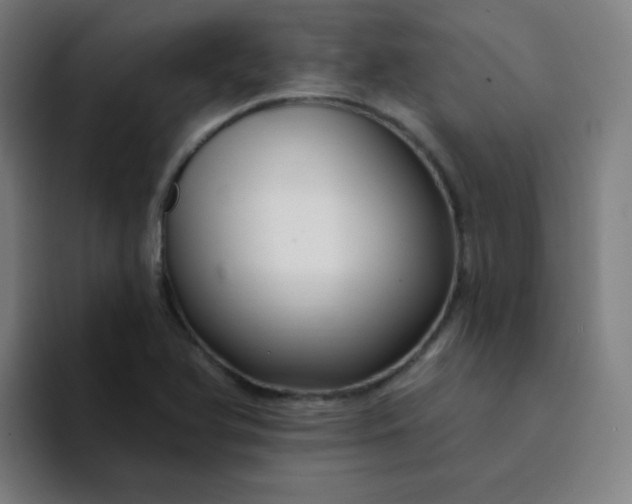 X0000094381366200711162122