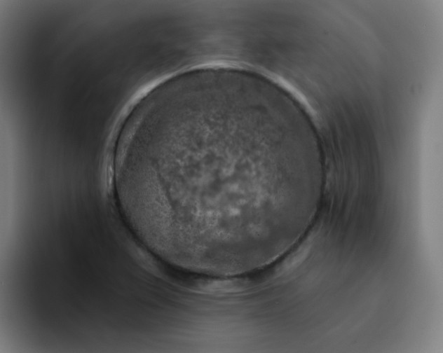 X0000094381367200711162122